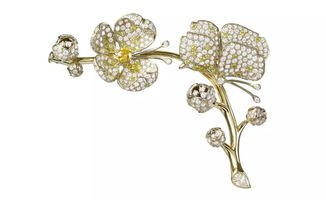 珠光下的動(dòng)物奇趣王國(guó) 戴上動(dòng)物，更添時(shí)尚魅力